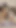 Cosplay egirl kedi kız beyaz file çoraplı anal tıkaç kuyruğuna sahip