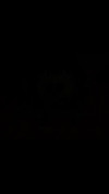 Pratinjau video
