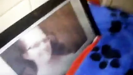 sexy88 için ikinci haraç