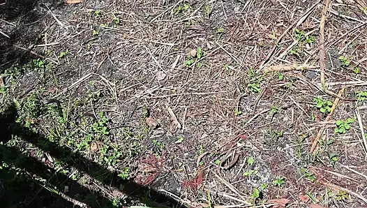 Full Day Video