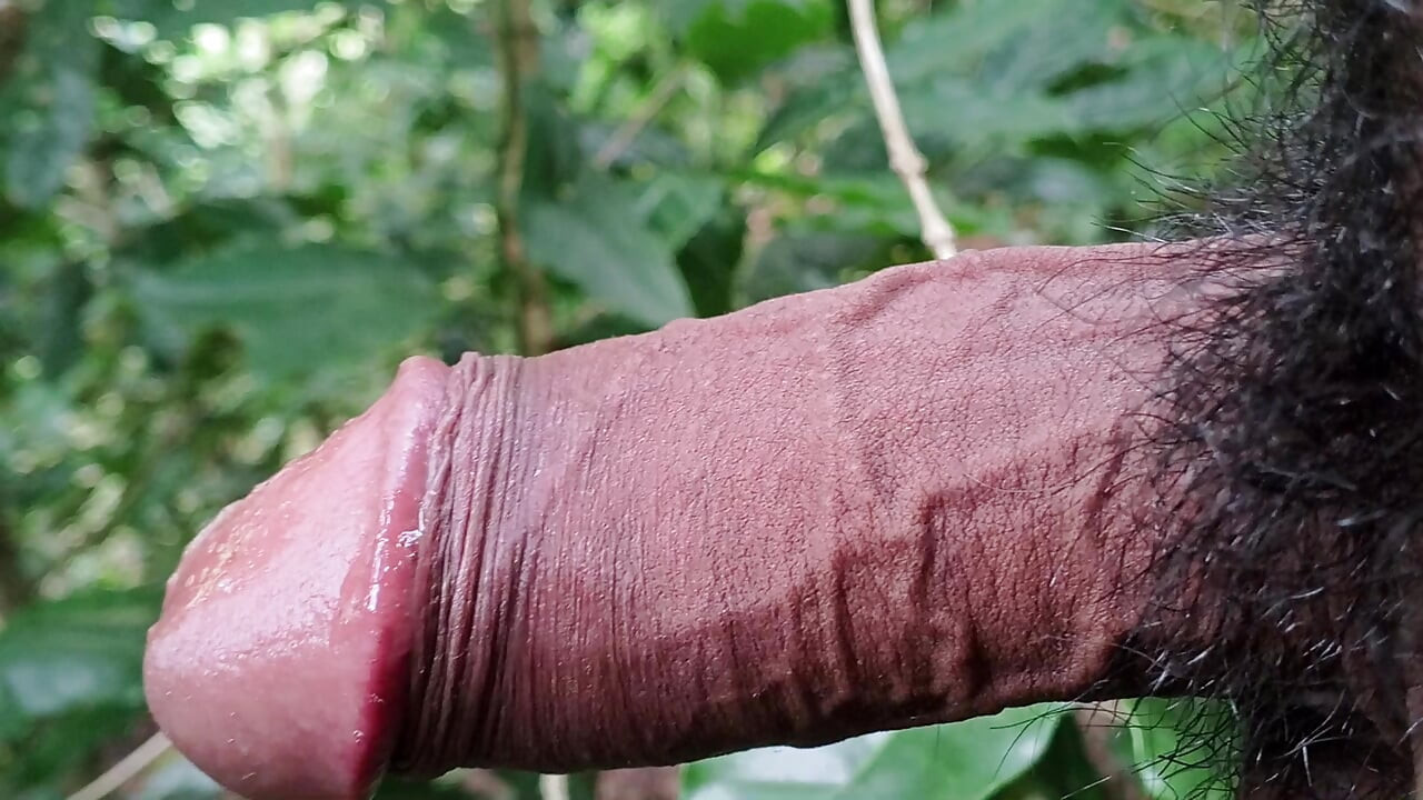 Engolidor passivo grávida do sexo masculino