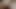 Tagging young hot ass deep cum anal bbc & brown uncut