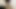 Sperm Montage 18