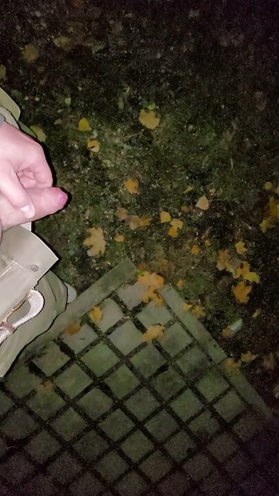 Pišanje i svršavanje.