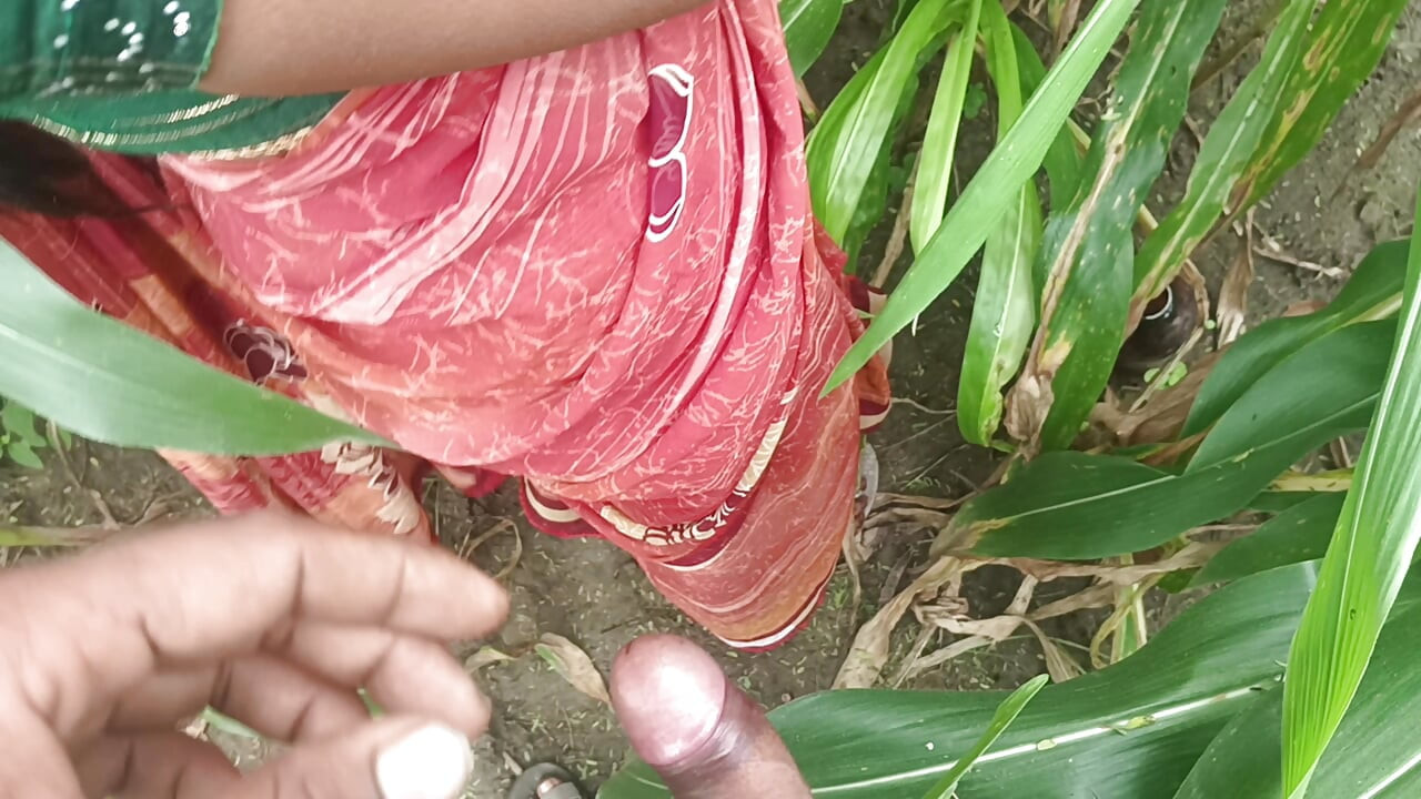 Sister-in-law called me to the field of maize today and sister-in-law sucked my cock and removed the water, then I picked up sister-in-law's two legs and fucked my sister-in-law loudly.