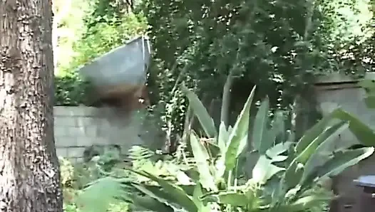 Small tits black babe pussy fucking in dogging position