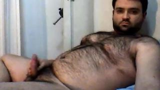 Masturbando-se turco, filhote de urso fatih midya