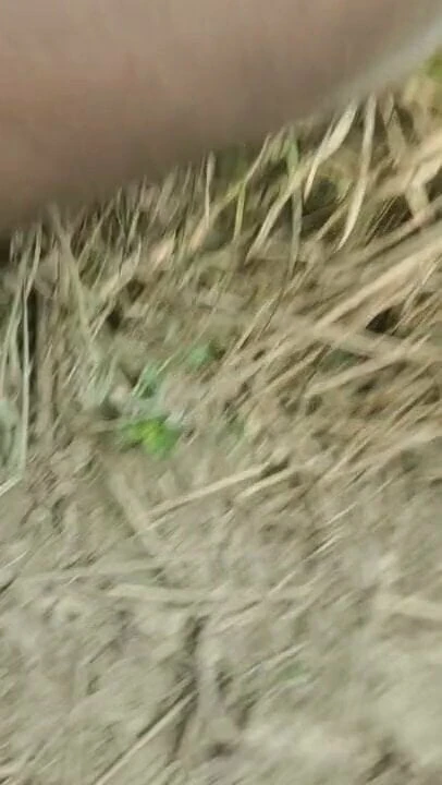 Desi sex