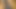 小さなプッシー・タケディン