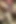 Large Breasted Chubby Mature and a Teen Go Cock Riding Together