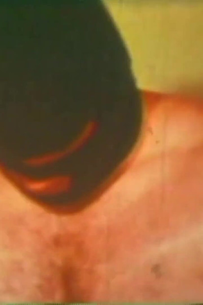 Excitatorul de porci