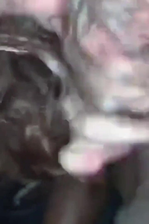 Aku lagi asik nyepong raksasa pria kulit hitam sambil meringis kesaksaan di dalam mobil