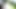 flash & cum for asian girl in park