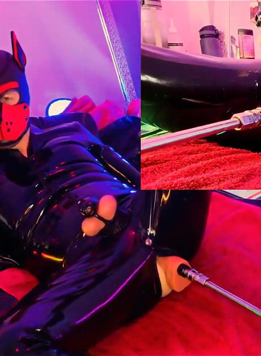 Nicolaus Rubber Show with Pet Mask