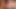 There are many layers to your training beta! Allow me to break things down for you in this step by step BBC worship and JOI