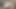 Very small teenager in the forest Sucks me and I cum inside her Anal