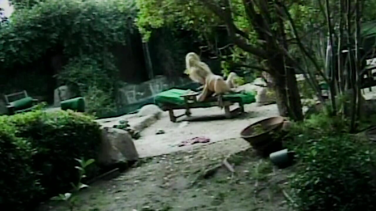 tabuloses Spiel geht völlig ab auf dem Campus (18+) bis zum