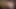 I cum hard for you in Slowmotion close up