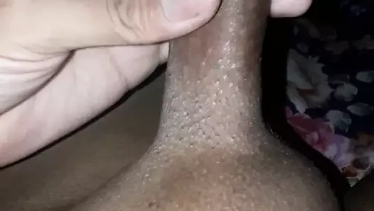 penis