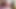 猫は精液を舐める - 2人の女の子