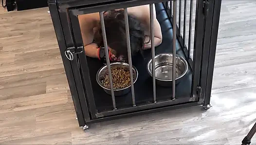 The Everyday Life of a Serf Slave