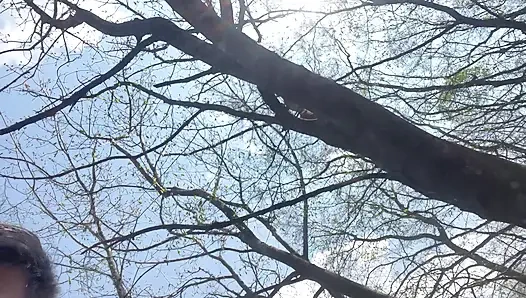 MILF Anal in the Woods - Risky Outdoor Creampie with Horny Mature Slut