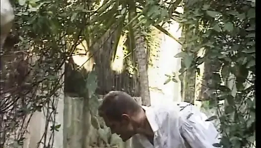 The Garden