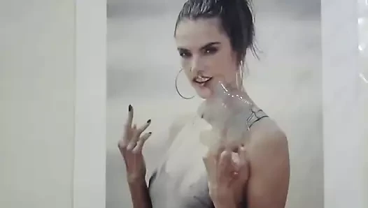 Alessandra ambrosio haraç 2