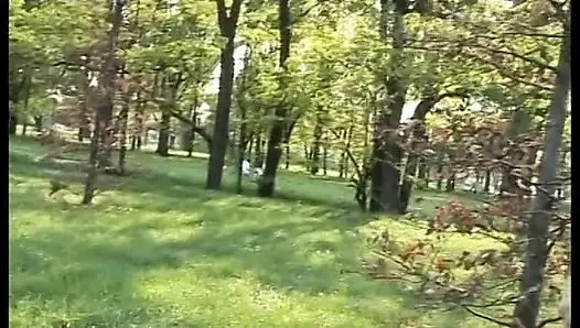 Showoff brunette reveals her tits in a park before to be screwed at home