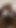 POV Horny Daddy Solo Breeding Fantasy. Fast Masturbation