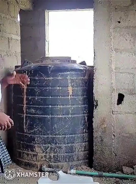 Büyük memeli üniversiteli genç kız terk edilmiş binada sokak serserisi tarafından sert sikiliyor.
