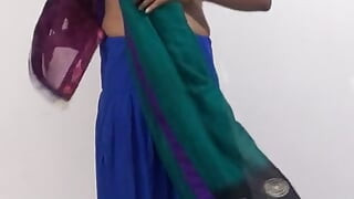 Gunjan masturbeert in saree