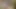 I Go On A Hike To The Woods With My Shy Stepsister And We End Up Fucking Hard Until I Cum In Her Ass