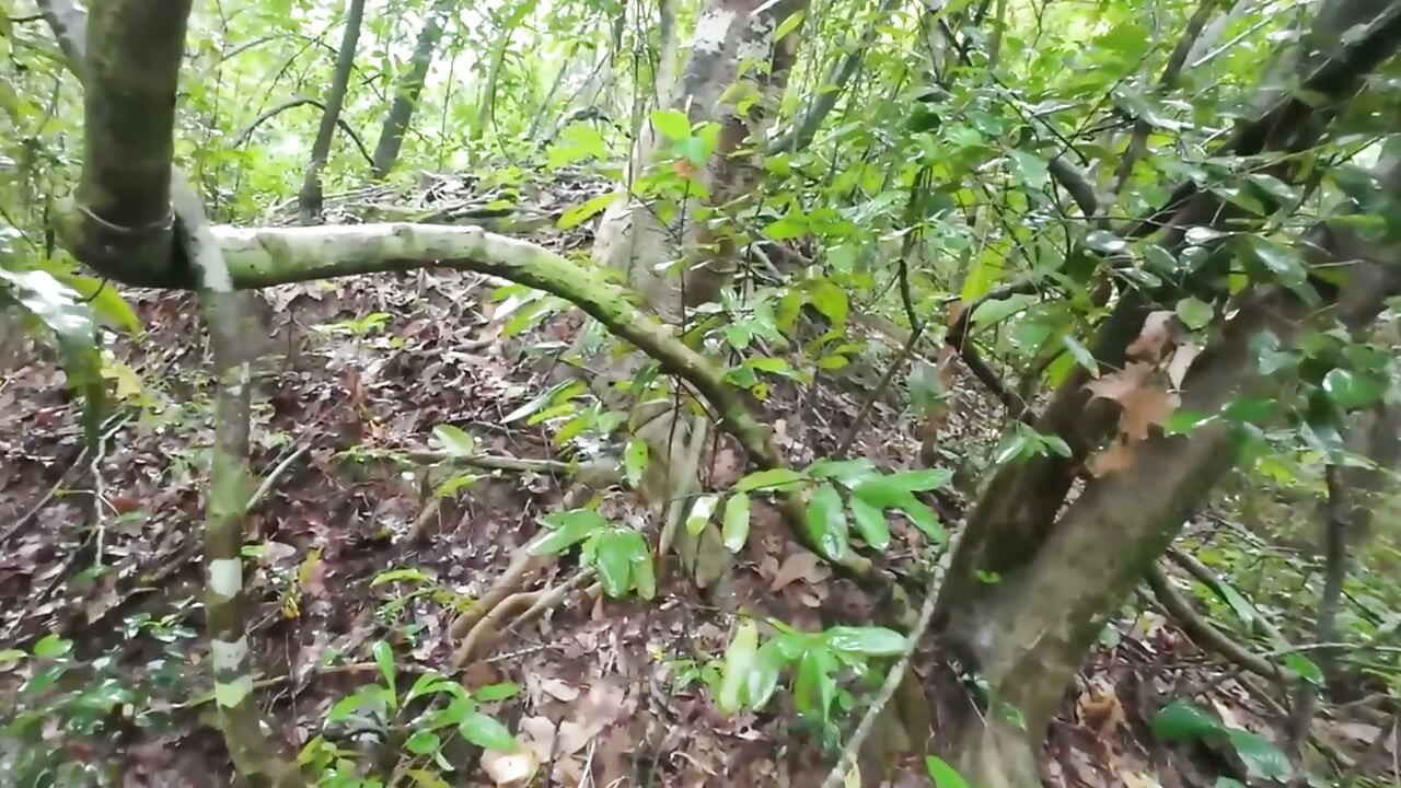 Thai Teenager Walks around Picking Mushrooms and Gets Fucked in the Pussy. Thai Audio