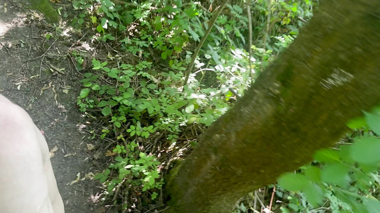 Crusing in the woods