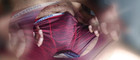 Pregled videozapisa