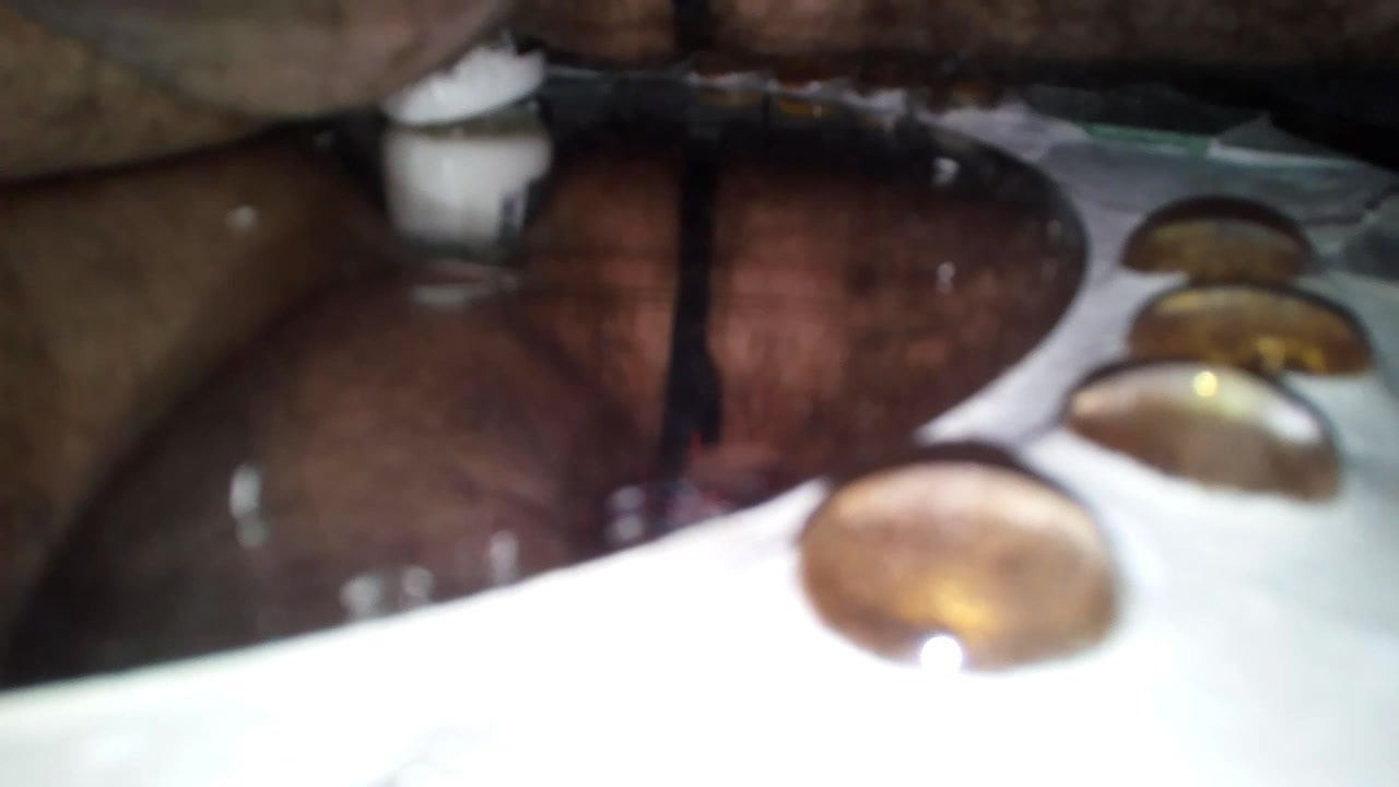 Putito travieso