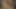 Seksi Alman kızlar anal üçlü sekste sperm ve yarak paylaşıyor