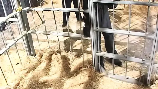 Gefangener deines samtigen Arsches