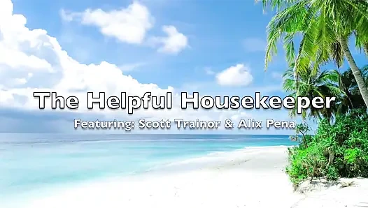 Pembantu rumah tangga yang lagi sange berat - alix avery