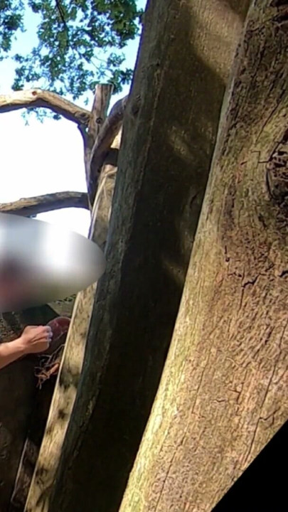 UDA MILF gets fucked hard at small old German bunker in public | Clip 1