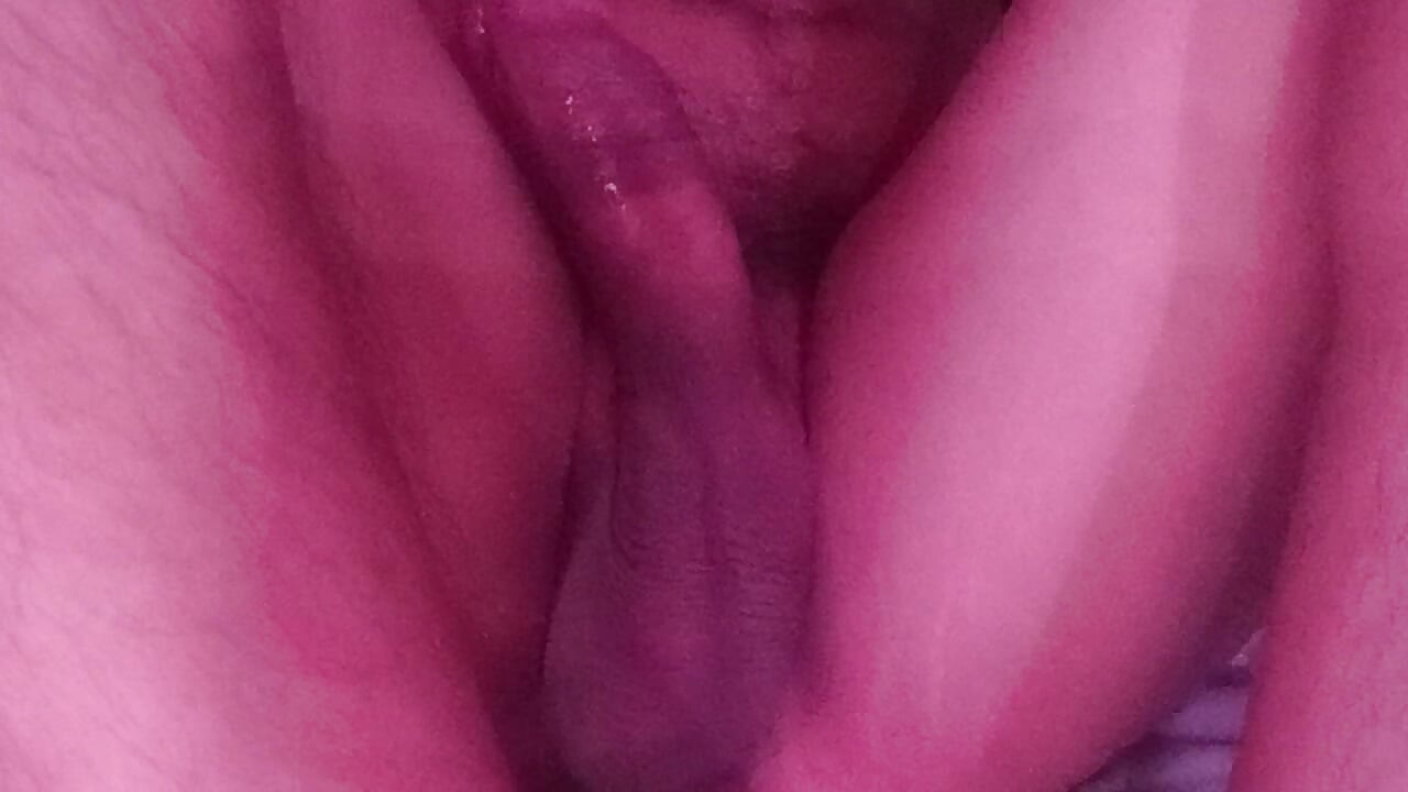 Warm My Milk Day 1665