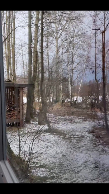 Caught Masturbating