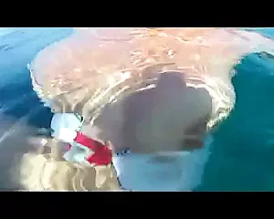 underwater sex swiming cumshot