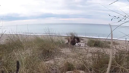 Fransız öğretmen sürtük çıplak plajda amatör sakso çekiyor yabancıyla boşalma - misscreamy