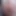Aurora Snow Steve Austin