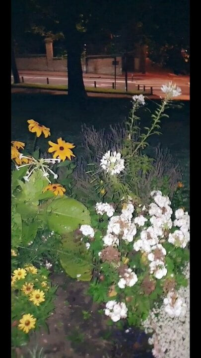 Masturbation outdoor