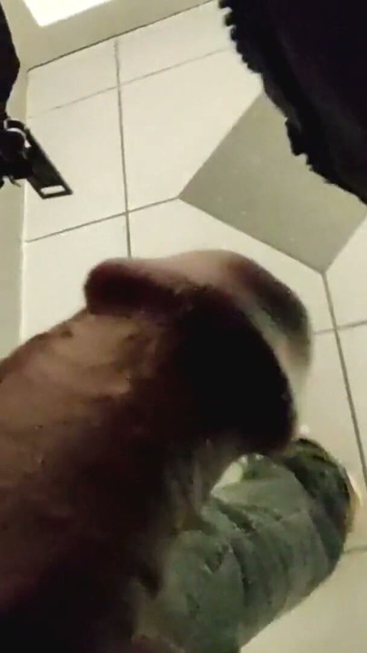 Cock Walk | Clip 1