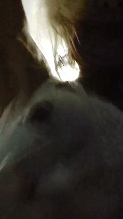 Alina Ottis. My main mistress. Gorgeous big tits and a hairy pussy | Clip 3