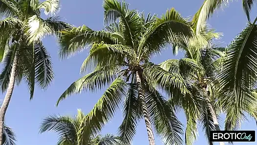 Vacation Fling, They Fuck Everywhere